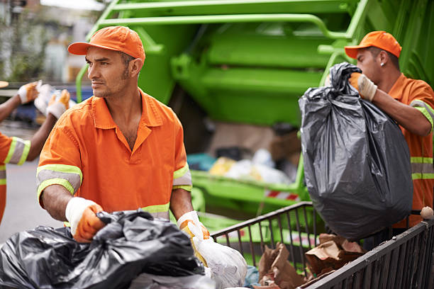 Debris Removal in Fairlea, WV